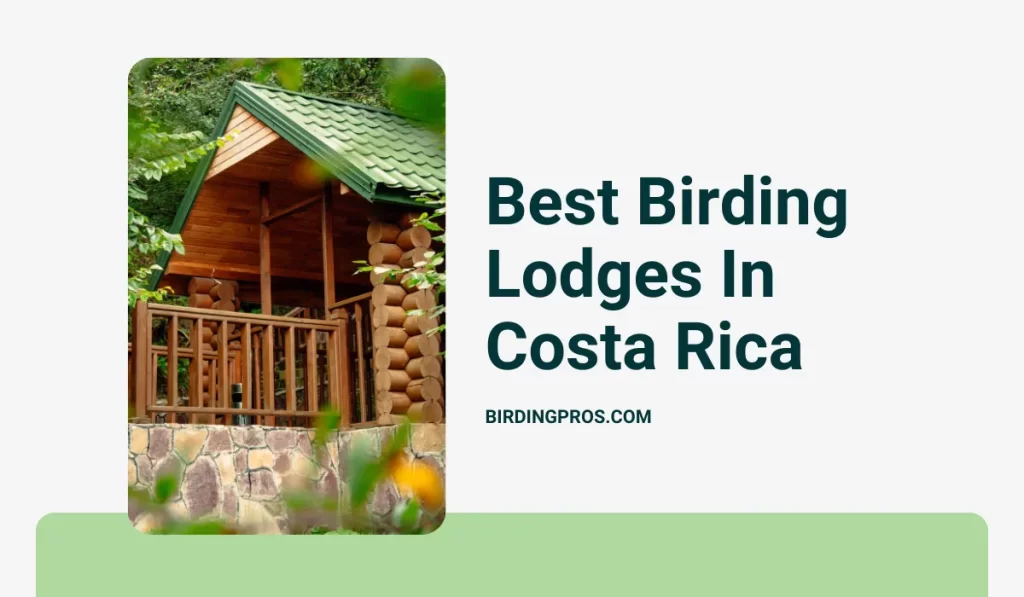 Best Birding Lodges In Costa Rica