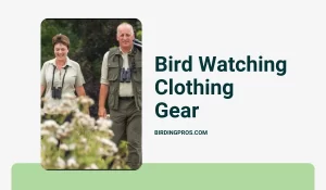 Bird Watching Clothing Gear