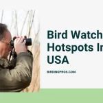 Bird Watching Hotspots