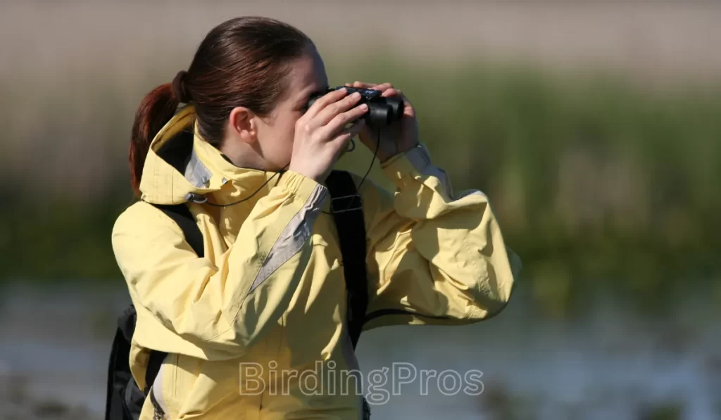 Essential Bird Watching Clothing