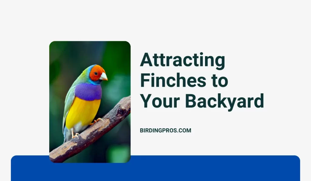 Attracting Finches to Your Backyard