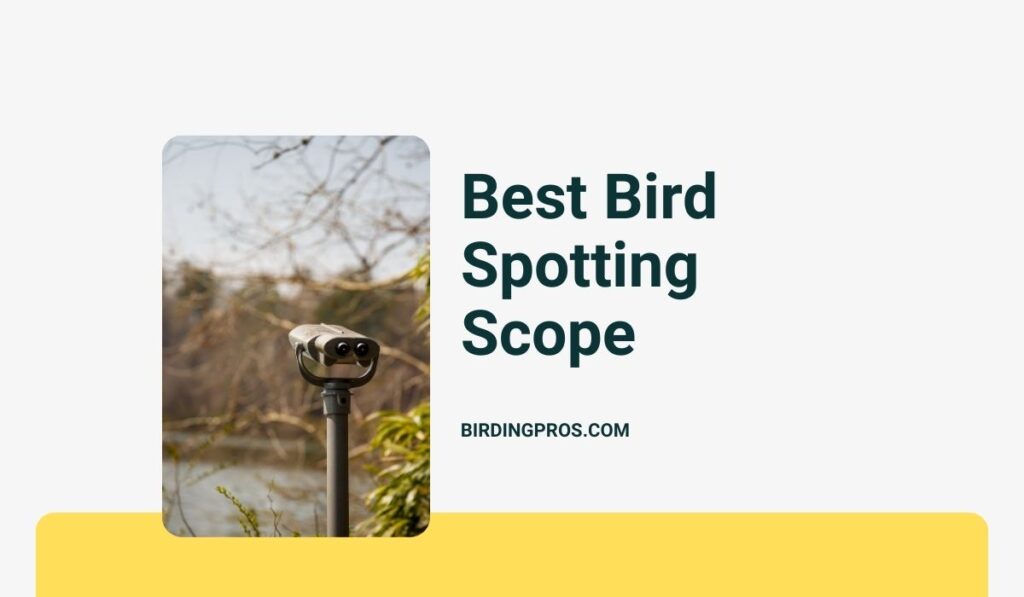 Best Bird Spotting Scope