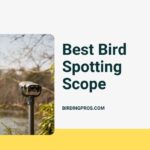 Best Bird Spotting Scope