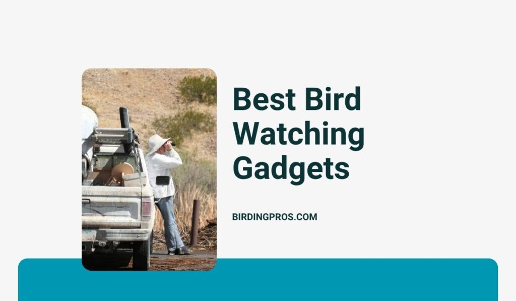 Best Bird Watching Gadgets