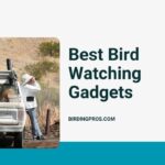 Best Bird Watching Gadgets