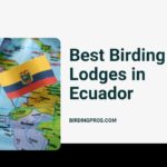 Best Birding Lodges in Ecuador