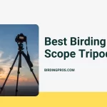 Best Birding Scope Tripod