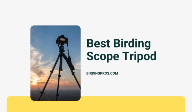 Best Birding Scope Tripod