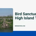 Bird Sanctuary High Island TX