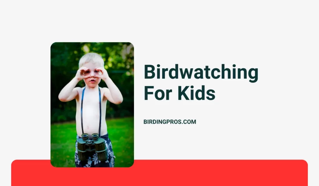 Birdwatching For Kids