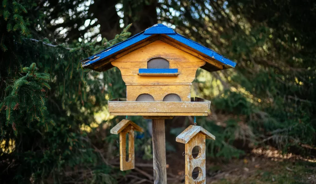 Ensuring Birdhouse Success