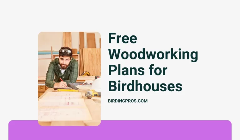 Free Woodworking Plans for Birdhouses