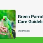 Green Parrot Care Guidelines