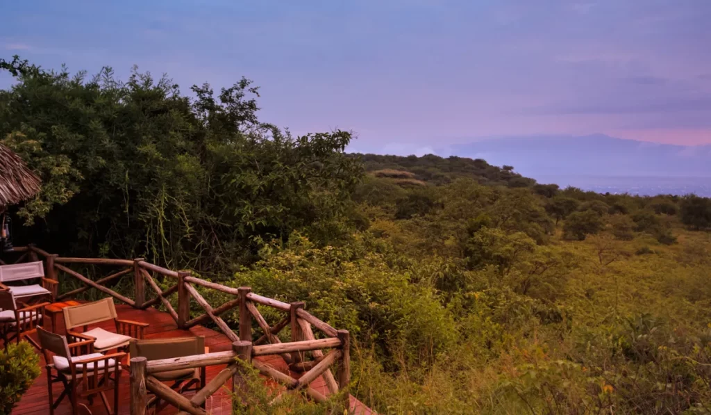 Introduction To Birding In Ecuador