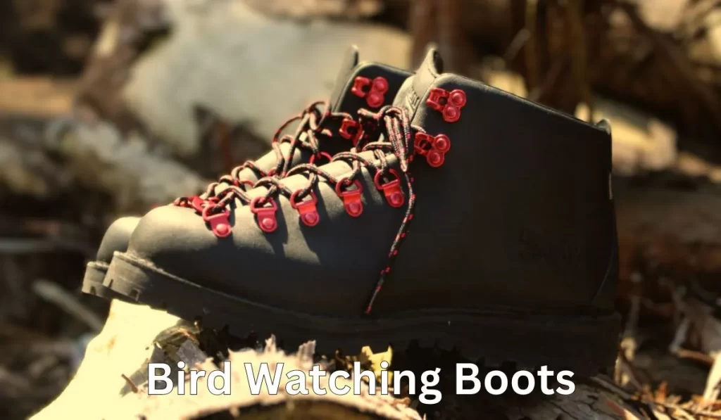 Bird Watching Boots