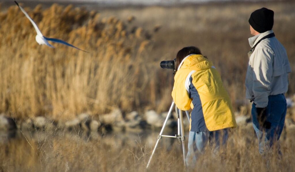 Joining The Community Of Birdwatchers