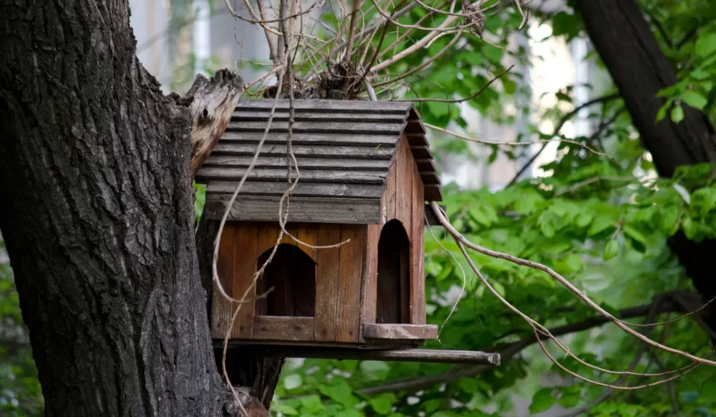 The Joy of Building Birdhouses