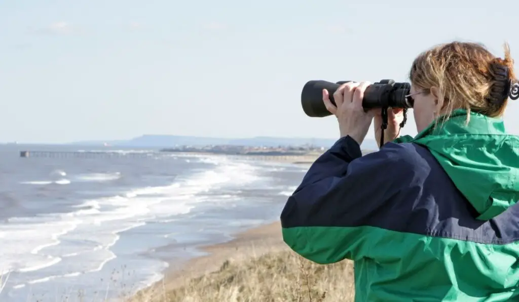 Why Bird Watching Gadgets Is Important?