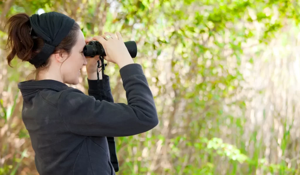 best binoculars with camera for bird watching