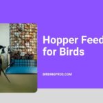 Hopper Feeders for Birds