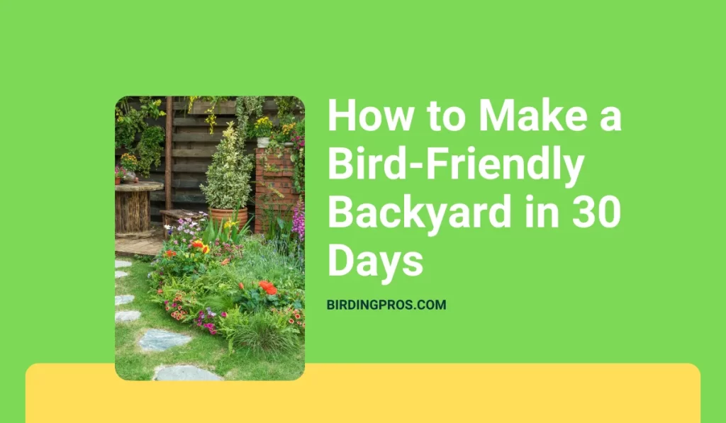 How to Make a Bird-Friendly Backyard