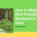 How to Make a Bird-Friendly Backyard