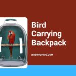 Bird Carrying Backpack