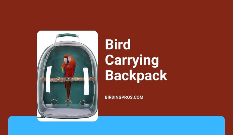 Bird Carrying Backpack