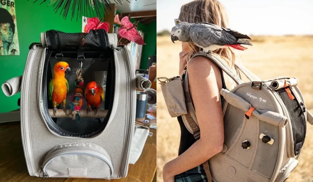 texsens bird carrier backpack