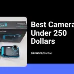 Best Camera Under 250 Dollars