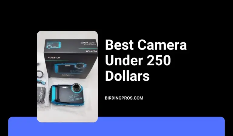 Best Camera Under 250 Dollars