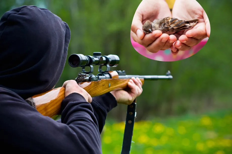 Can You Kill Birds in Your Backyard?