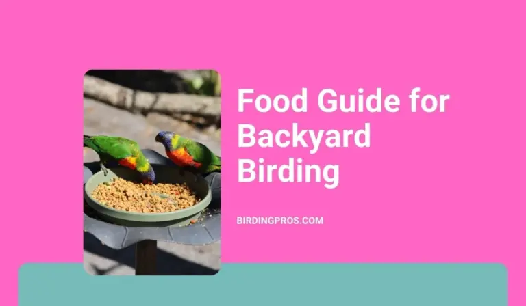 Food Guide for Backyard Birding