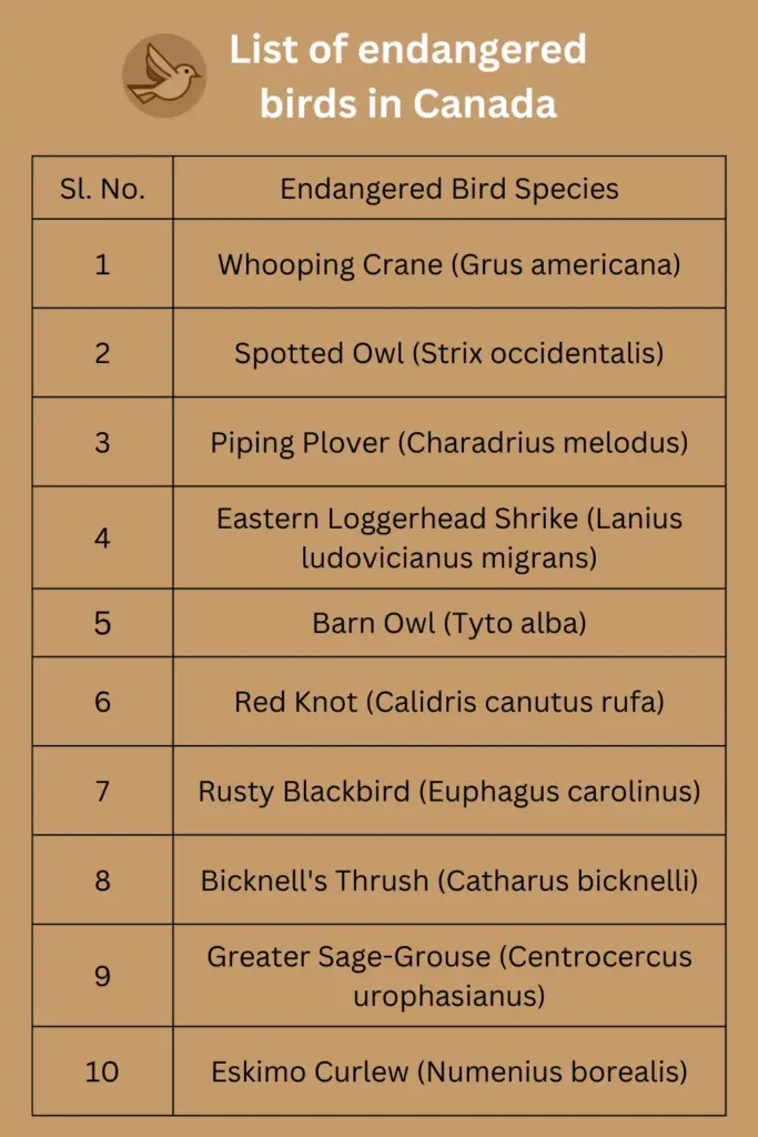 List of endangered birds in Canada