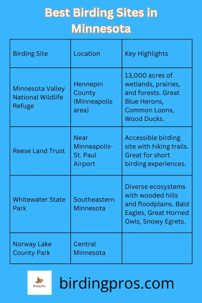 Best Birding Sites in Minnesota