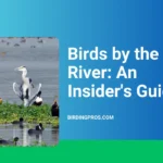 Birds by the River: An Insider's Guide