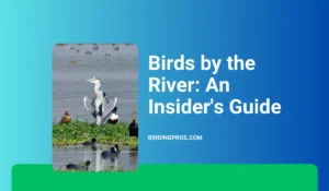 Birds by the River: An Insider's Guide