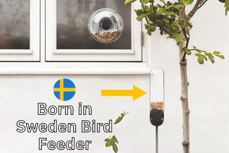 Born in Sweden Bird Feeder