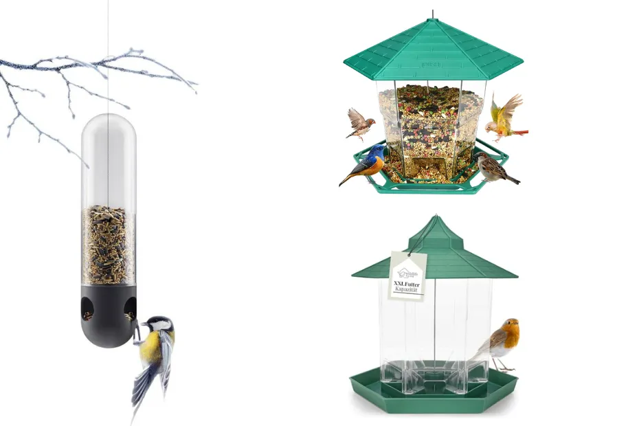 Born in Sweden Bird Feeder and Their Offerings