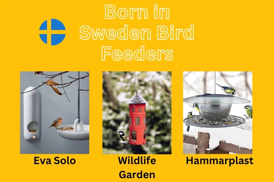 bird feeder born in sweden