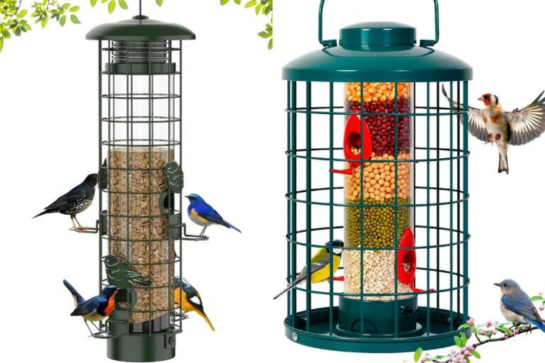 10 Best Squirrel Proof 3 Tube Bird Feeders