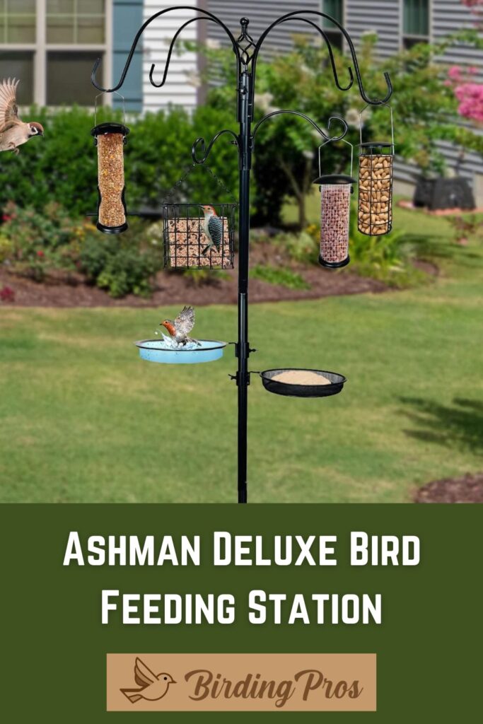 10 Foot Bird Feeder Pole