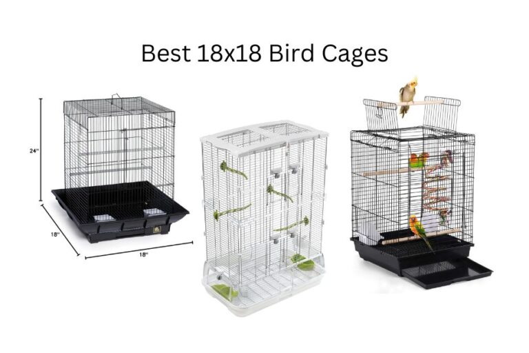 Best 18x18 Bird Cages