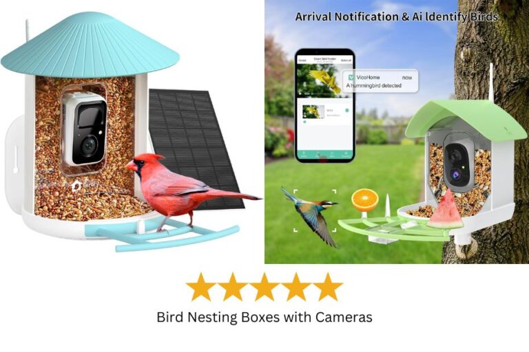 Bird Nesting Boxes with Cameras