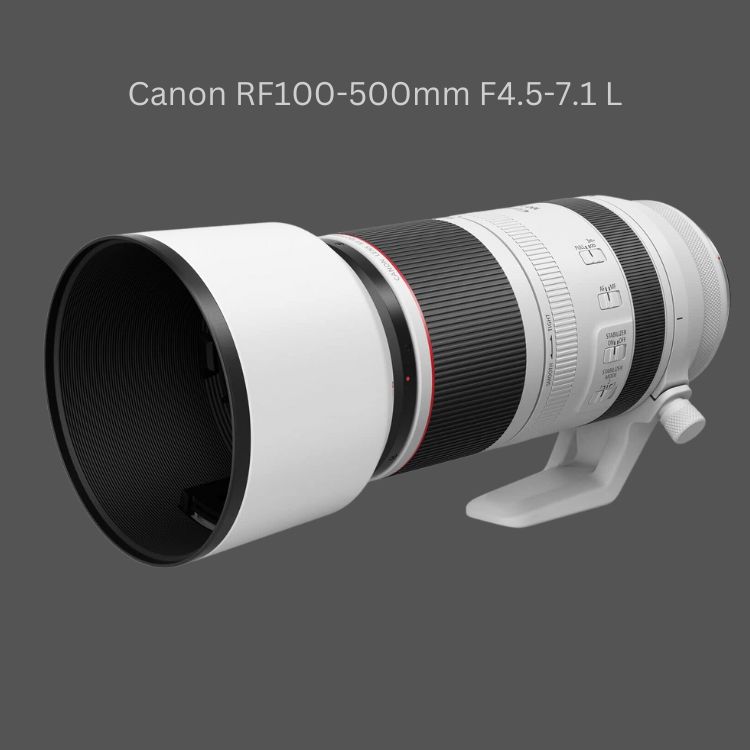 Canon RF100-500mm F4.5-7.1 L