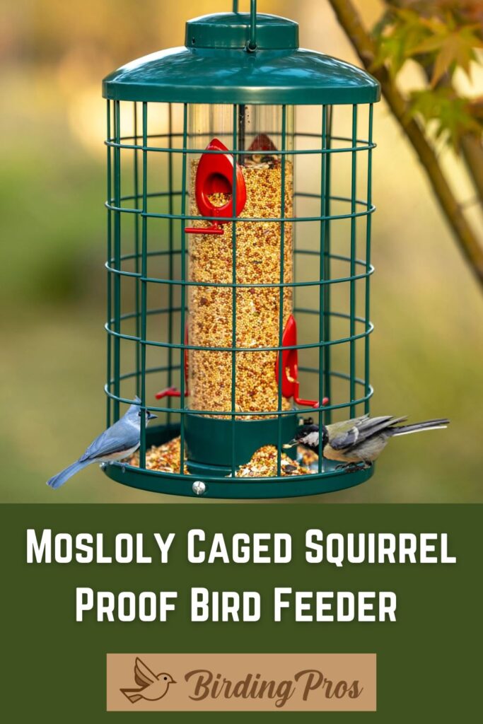 Squirrel Proof 3 Tube Bird Feeders