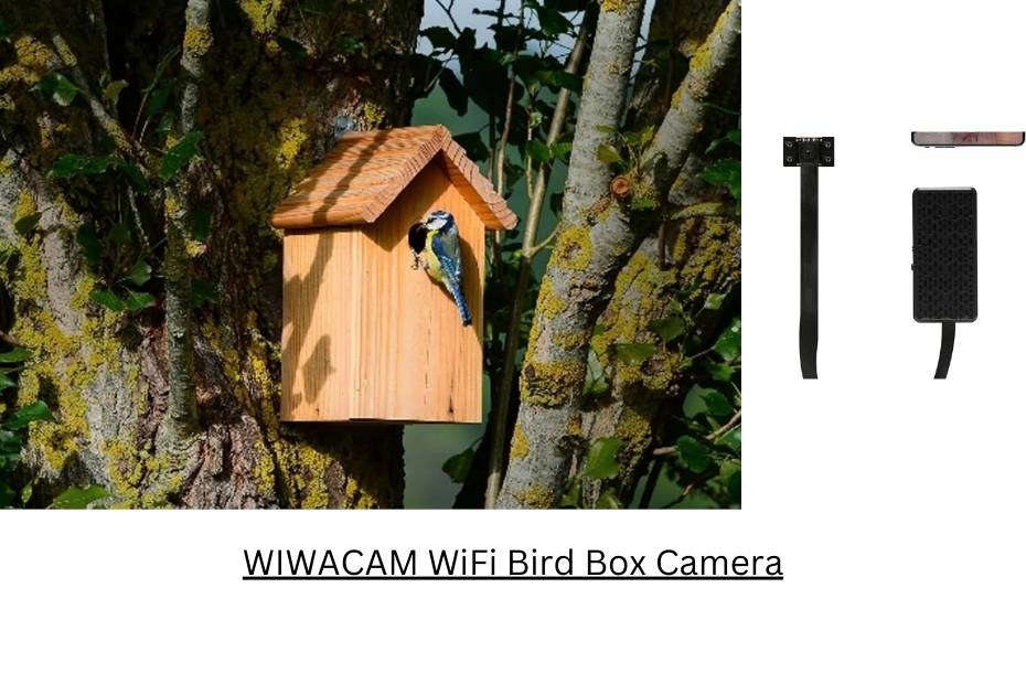 WIWACAM WiFi Bird Box Camera