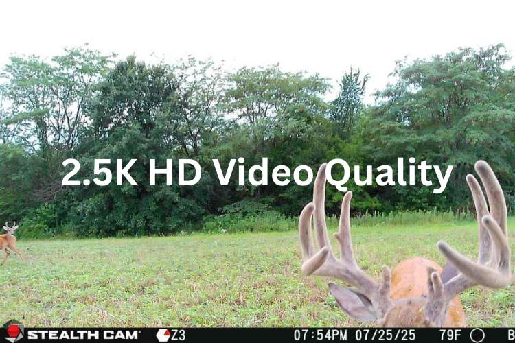 2.5K HD Video Quality