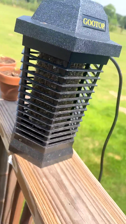 best flying insect zapper