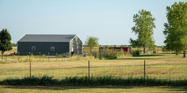 Why Is Oklahoma a Birding Wonderland?